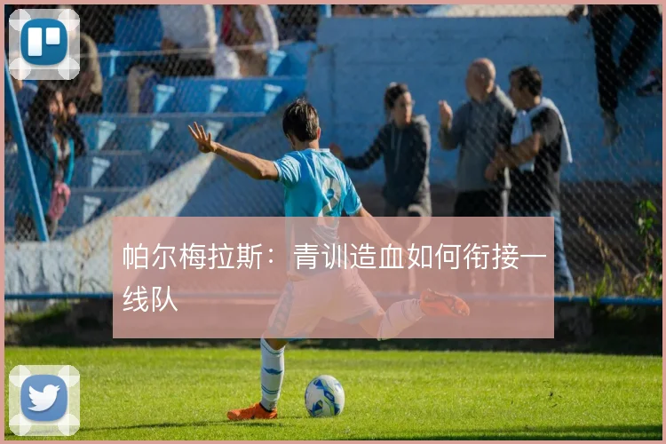 帕尔梅拉斯：青训造血如何衔接一线队