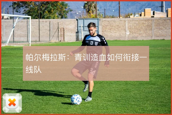 帕尔梅拉斯：青训造血如何衔接一线队