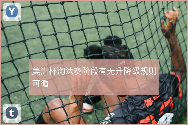 美洲杯淘汰赛阶段有无升降级规则可循