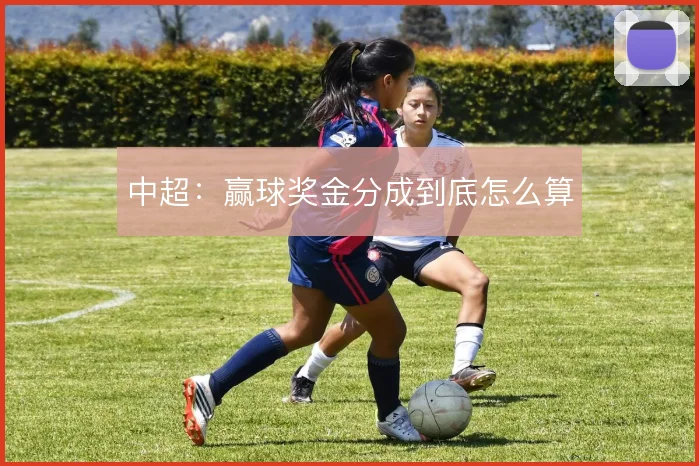 中超:赢球奖金分成到底怎么算