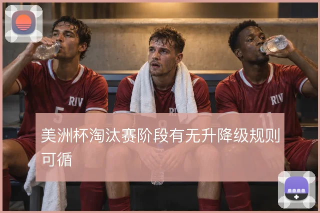美洲杯淘汰赛阶段有无升降级规则可循