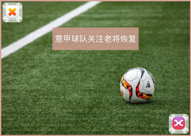意甲球队关注老将恢复