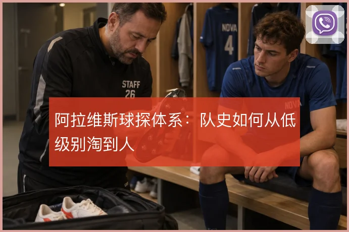 阿拉维斯球探体系：队史如何从低级别淘到人